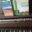 Robyn Dolan - books and music