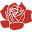 Rogue Valley Roses – Specializing in Antique, Rare & Exceptional Roses