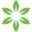 Roman's Wellness Center | Morgantown, WV