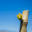 Rudderless Vineyard | Wines | Sellicks Hills | McLaren Vale