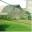 Rural Reflections – Life viewed from a rural perspective