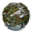 Ryzom - Free to Play Open-Source MMORPG | Windows, Mac & Linux