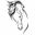 Sackett Ridge Saddlery - Tack Shop, Online Store