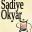 Sadiye Okyar'ın Patchwork Galerisi | İplik ve kumaştan resim yapmak…