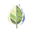 Home - Sage Environmental Consulting