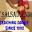 Salsaduende home | Salsaduende