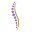 Northwest Regional Spinal Cord Injury System