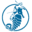 Seahorse Farms & Tours | Things to Do Kona Hawaii | Ocean Rider