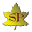 Service Publications