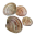 Florida Shellfish Aquaculture Online Resource Guide