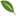 Japanese Green Tea | Green Tea Powder | Green Tea Bags | Organic Green Tea