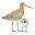 Welcome to the Shorebird Centre - Pūkorokoro Miranda Shorebird Centre