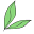 Home - Silk Thumb