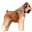 Sleeping Lady's Bouvier des Flandres