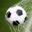 Soccer Training Info - Your Soccer Resource Center