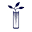 Soil and Health Library – Health begins in the soil