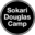 Sokari Douglas Camp