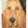 southeastbloodhoundrescue.net