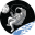 SpaceArchitect.org