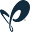 Scientific Software International