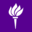 NYU Steinhardt
