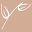 Cosmetic Plastic Surgery & Nonsurgical Treatments – St. Louis Cosmetic Surgery Inc