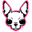 Chihuahua Clothes and Accessories: Famous Chihuahua Store