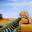 Surrealisme