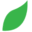 Sustainable Life Birmingham – Teaching Sustainability and Green Skills