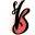 Southwest Virginia Ballet – Pre-professional youth dance company