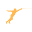 SwordSport