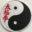 The Tai Chi Chuan Study Center – Tai Chi strengthens your immune system, ameliorates stress and improves balance.