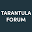 Tarantula Forum