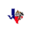 Texas Paint Horse Club