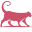Home - The Daily Cat