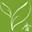 The Fragrant Leaf - Artisan Tea & Tea Ware