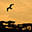 Eric L. Braem | Photojournalism and Fine-Art Photography