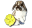 The Nature Trail | The beloved rabbit information site since 2004