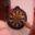 Dart Tournaments - Dart Tournaments