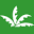 The Rainforest Site | Click to Save The Rainforest