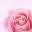 The Wedding Veil Shop | Bridal Veils UK