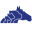 Thrums Vets | Pet, Farm & Equine Vets in Angus & Perthshire