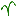 Tom Clothier's Garden Walk and Talk
