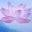 Transformation Meditation Home Page – Transformation Meditation