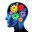 triangleneuropsychology.com – Triangle Neuropsychology Services, PLLC
