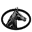 TWHBEA – Tennessee Walking Horse Breeders and Exhibitors Association