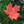 Welcome - TYWO - Toronto Youth Wind Orchestra