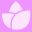 Home - Women Sportswear | Gym clothing & Fitness Wear | UMBRA SPORTS