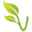 Online Vegan Grocery Store: Vegetarian Foods Delivered Straight to You