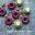 A Celebration of Vegetables - Veggie Desserts